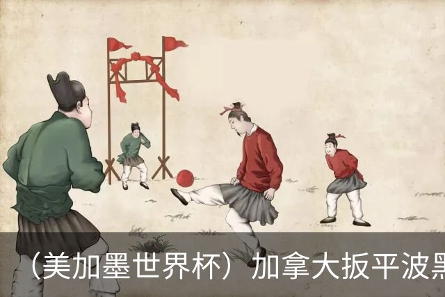 （美加墨世界杯）加拿大扳平波黑 获队史世界杯首分